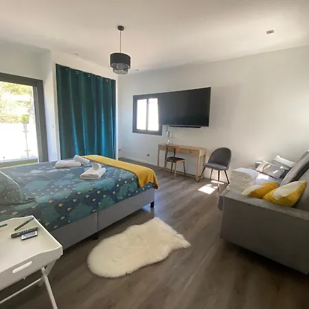 Villa Maison Avec Piscine Saint-Raphael (Var)